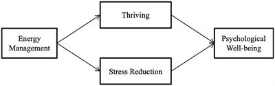 Enhancing psychological well-being of school teachers in India: role of energy management, thriving, and stress